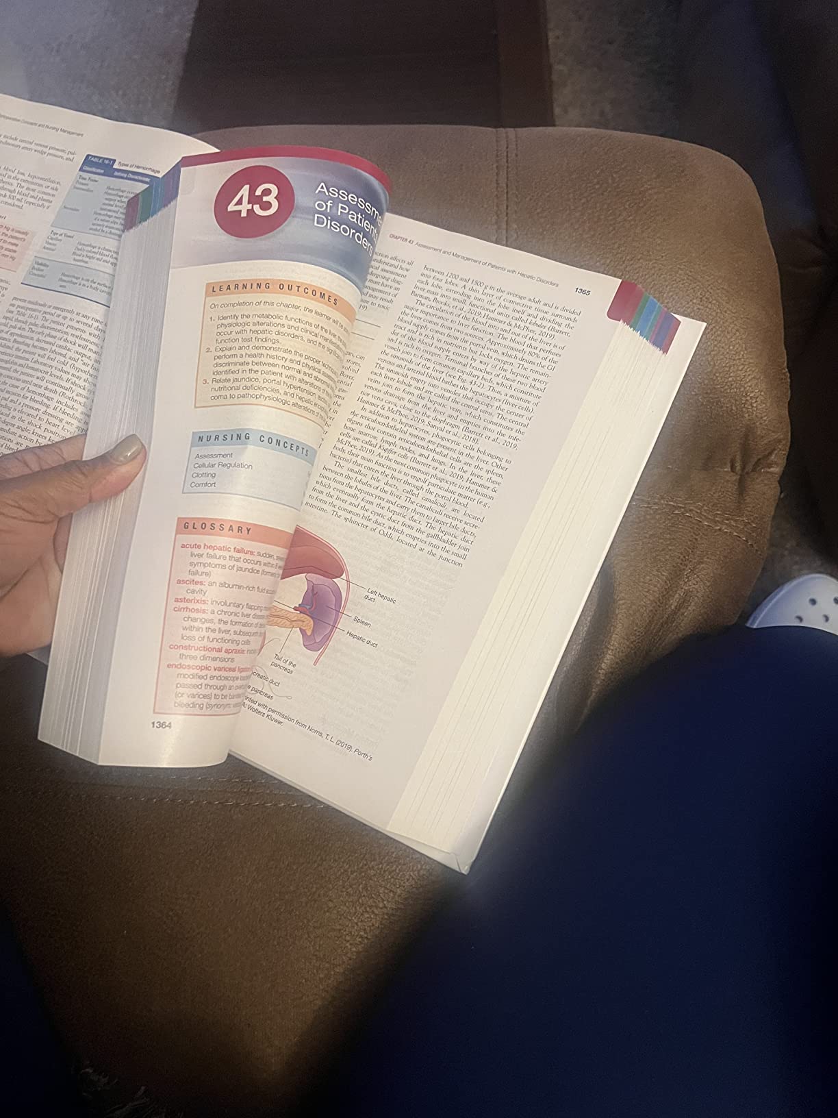 Brunner & Suddarth's Textbook of Medical-Surgical Nursing - Image 3