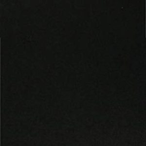 Frances Burney: A Literary Life (Literary Lives) ISBN-13: 9780312229818