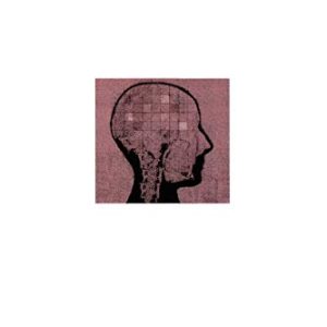 Circuits of the Mind ISBN-13: 9780195126686