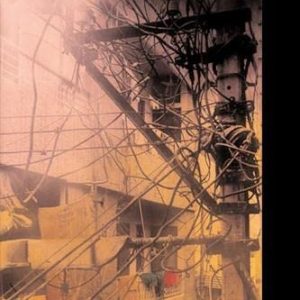 Death of a Discipline (The Wellek Library Lectures) ISBN-13: 9780231129442