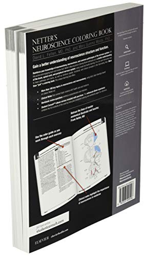 Netter's Neuroscience Coloring Book 1st Edition 9780323509596 - Image 4