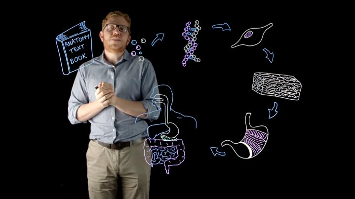 Fundamentals of Anatomy and Physiology: For Nursing and Healthcare Students 3rd Edition 9781119576488 - Image 4