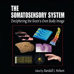 The Somatosensory System: Deciphering the Brains Own Body Image (Methods & New Frontiers in Neuroscience) ISBN-13: 9780367396732