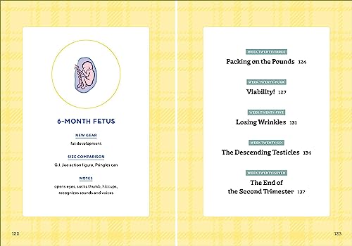 We're Pregnant! The First Time Dad's Pregnancy Handbook Paperback – April 24, 2018 9781939754684 - Image 6