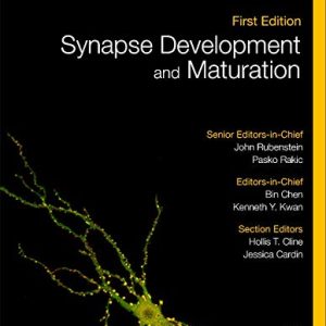 Synapse Development and Maturation: Comprehensive Developmental Neuroscience ISBN-13: 9780128236727