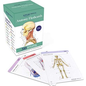 Anatomy Flashcards: 300 Flashcards with Anatomically Precise Drawings and Exhaustive Descriptions + 10 Customizable Bonus Cards and Sorting Ring for Custom Study ISBN-13: 9781506258874