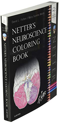 Netter's Neuroscience Coloring Book 1st Edition 9780323509596 - Image 3