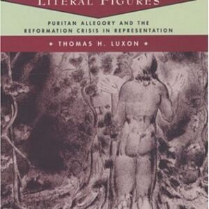 Literal Figures: Puritan Allegory and the Reformation Crisis in Representation Hardcover – April 15