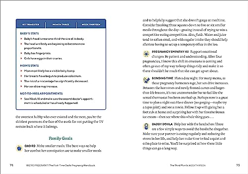 We're Pregnant! The First Time Dad's Pregnancy Handbook Paperback – April 24, 2018 9781939754684 - Image 4