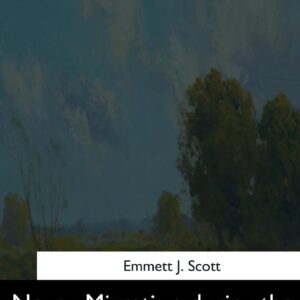 Negro Migration during the War Paperback – March 16