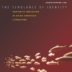 The Semblance of Identity: Aesthetic Mediation in Asian American Literature 1st Edition 9780804778701