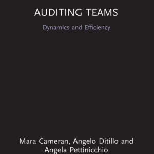 Auditing Teams (Routledge Focus on Business and Management) 1st Edition 9781138682702