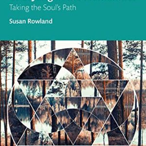 C. G. Jung in the Humanities: Taking the Souls Path ISBN-13: 9780367439262