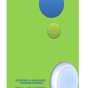 Auditing & Assurance: Management Monitoring Paperback – Large Print