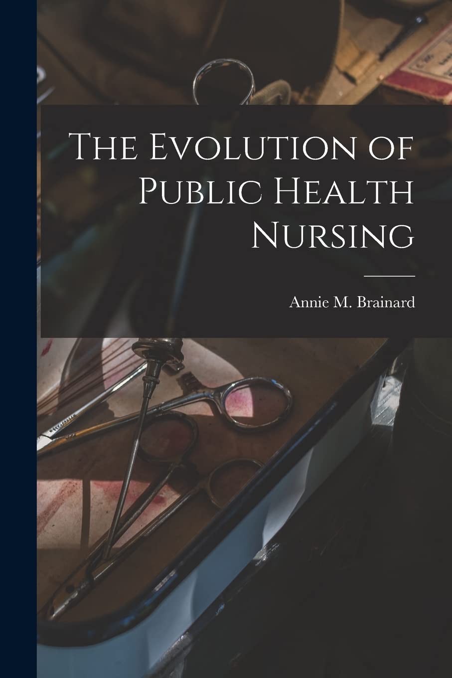 The Evolution of Public Health Nursing Paperback – October 27