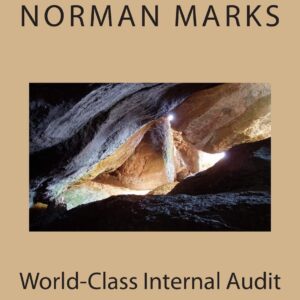 World-Class Internal Audit: Tales from my Journey Paperback – August 12