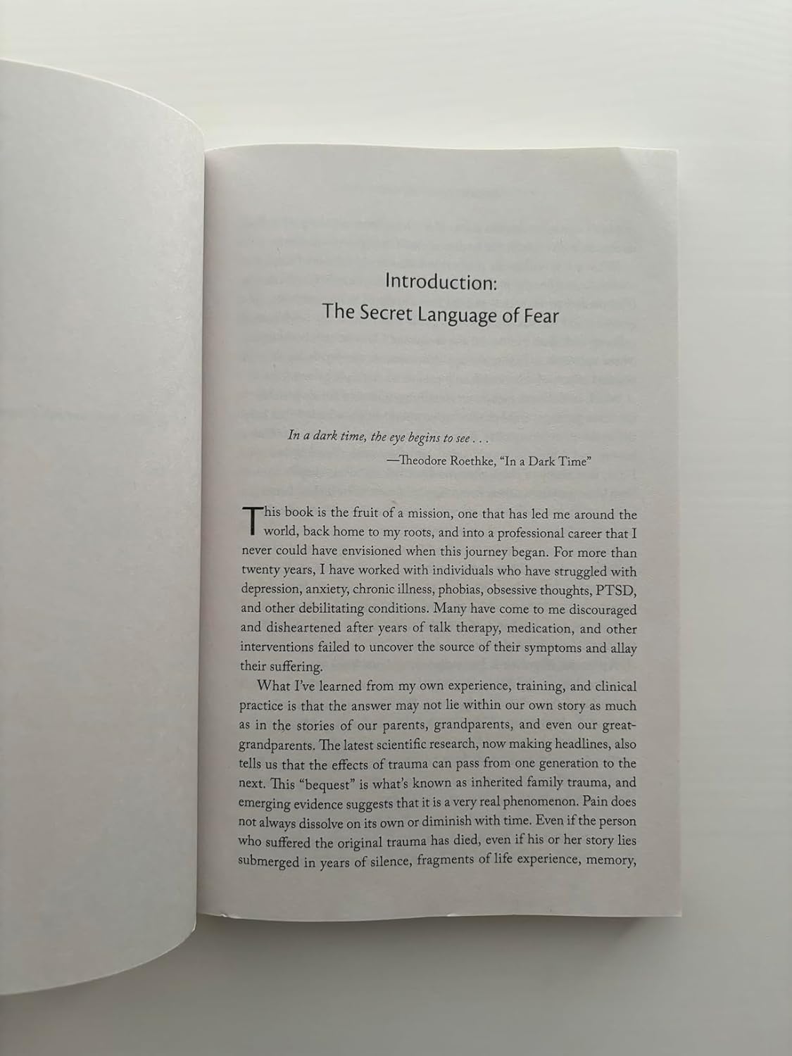 It Didn't Start with You: How Inherited Family Trauma Shapes Who We Are and How to End the Cycle Paperback – April 25, 2017 9781101980385 - Image 4