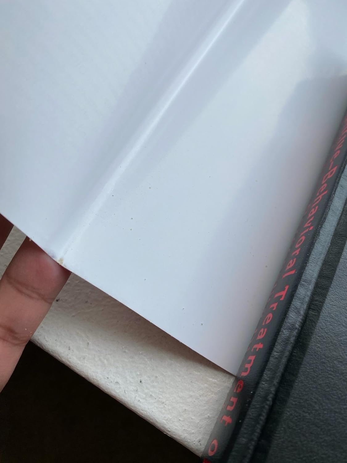 Cognitive-Behavioral Treatment of Borderline Personality Disorder 1st Edition 9780898621839 - Image 4