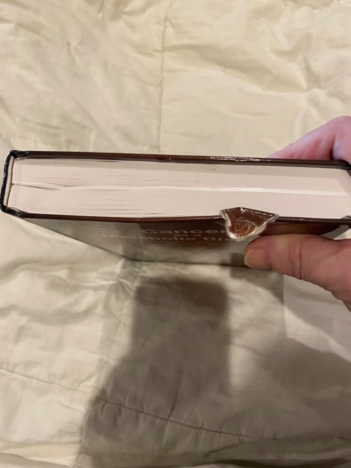 Cancer as a Metabolic Disease: On the Origin, Management, and Prevention of Cancer 1st Edition 9780470584927 - Image 8