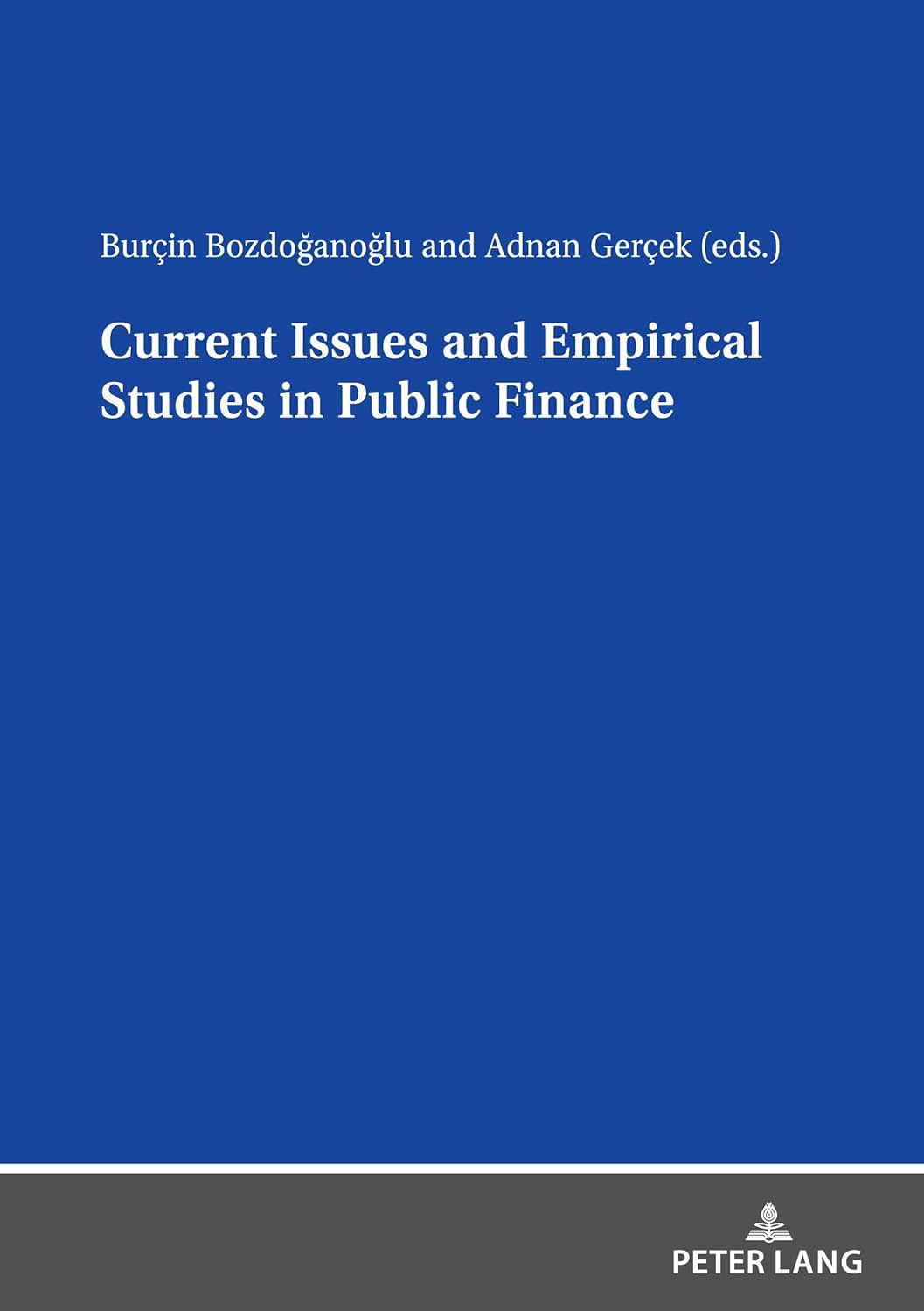 Current Issues and Empirical Studies in Public Finance 1st Edition 9783631881675