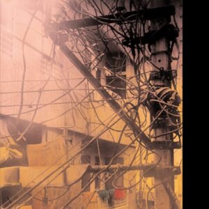 Death of a Discipline (The Wellek Library Lectures) Hardcover – June 15