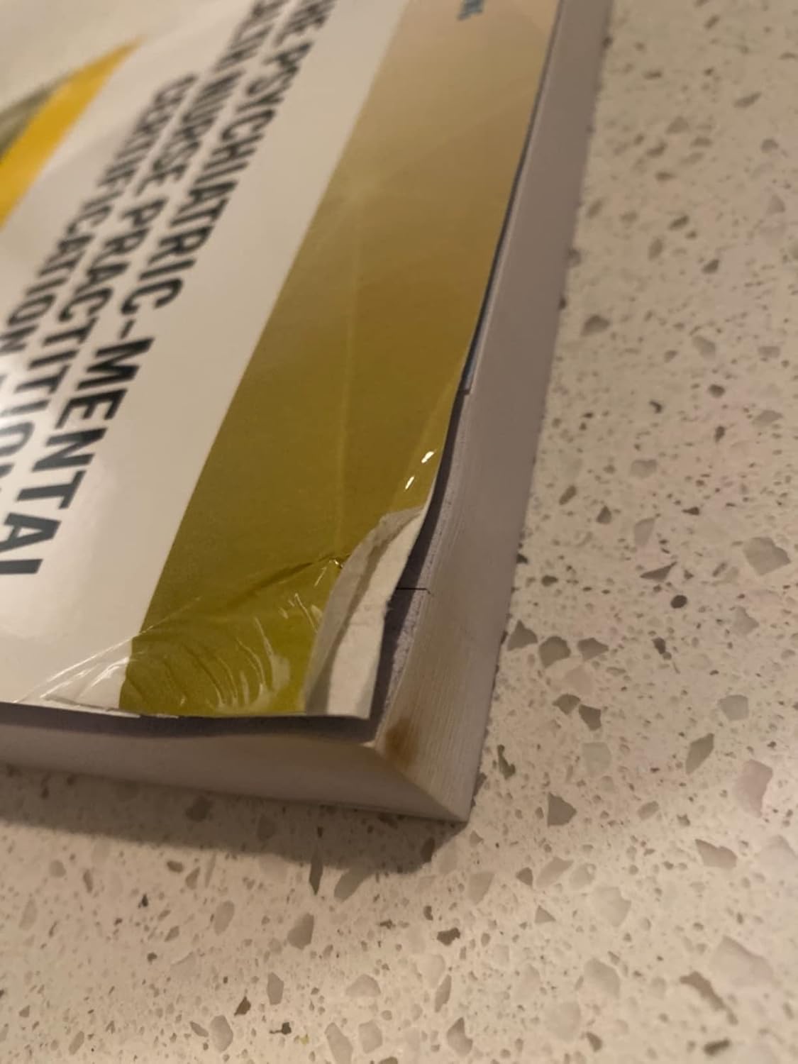 Psychiatric-Mental Health Nurse Practitioner Certification Review (Digital Access Card: 6-Month Subscription): Web/iOS/Android/Amazon Fire 1st Edition 9780826195142 - Image 11