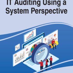 It Auditing Using a System Perspective 1st Edition 9781799841982