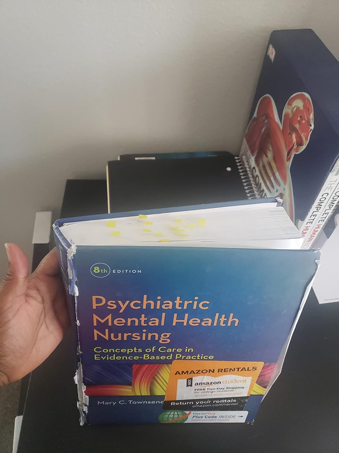 Essentials of Psychiatric Mental Health Nursing: Concepts of Care in Evidence-Based Practice 8th Edition 9780803676787 - Image 3
