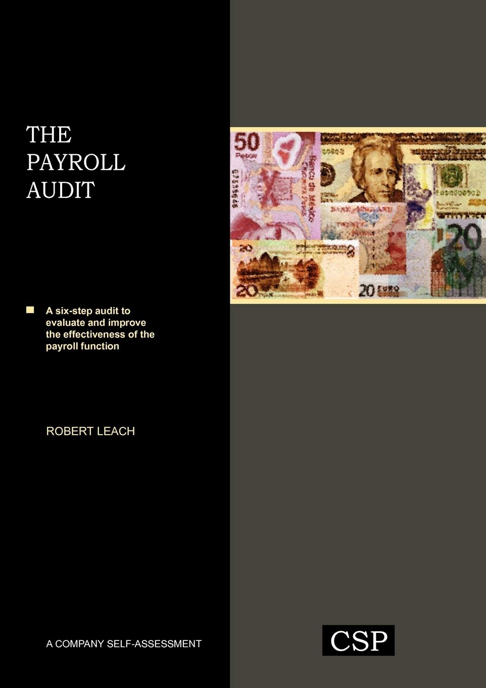 The Payroll Audit Paperback – August 18