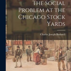 The Social Problem at the Chicago Stock Yards Paperback – October 27