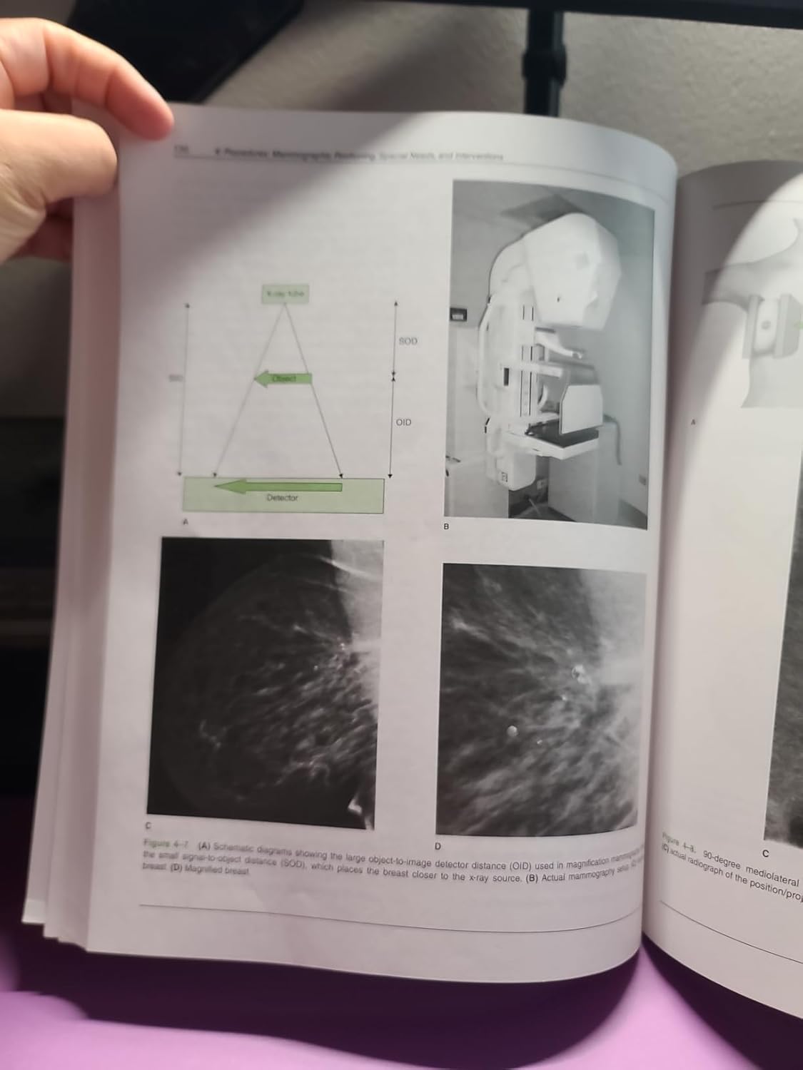 Fifth Edition 5th Edition 9781260474930