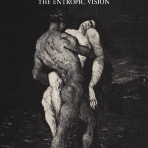 Naturalist Fiction: The Entropic Vision (Cambridge Studies in French
