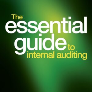 The Essential Guide to Internal Auditing 2nd Edition 9780470746936