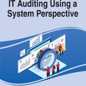 IT Auditing Using a System Perspective (Advances in It Standards and Standardization Research (Aitssr) Book) 9781799855484