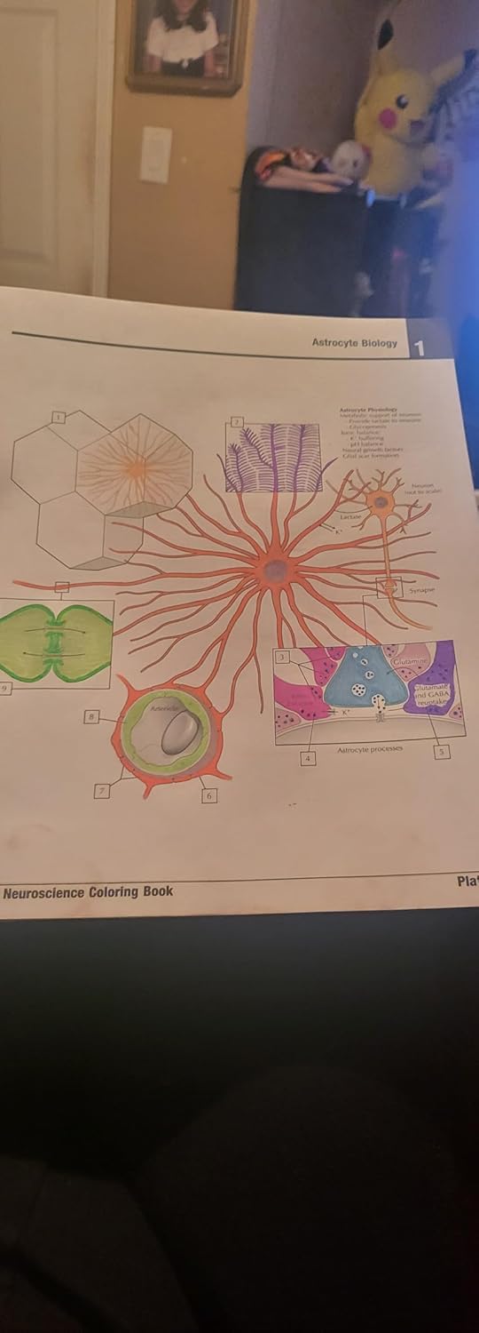 Netter's Neuroscience Coloring Book 1st Edition 9780323509596 - Image 6