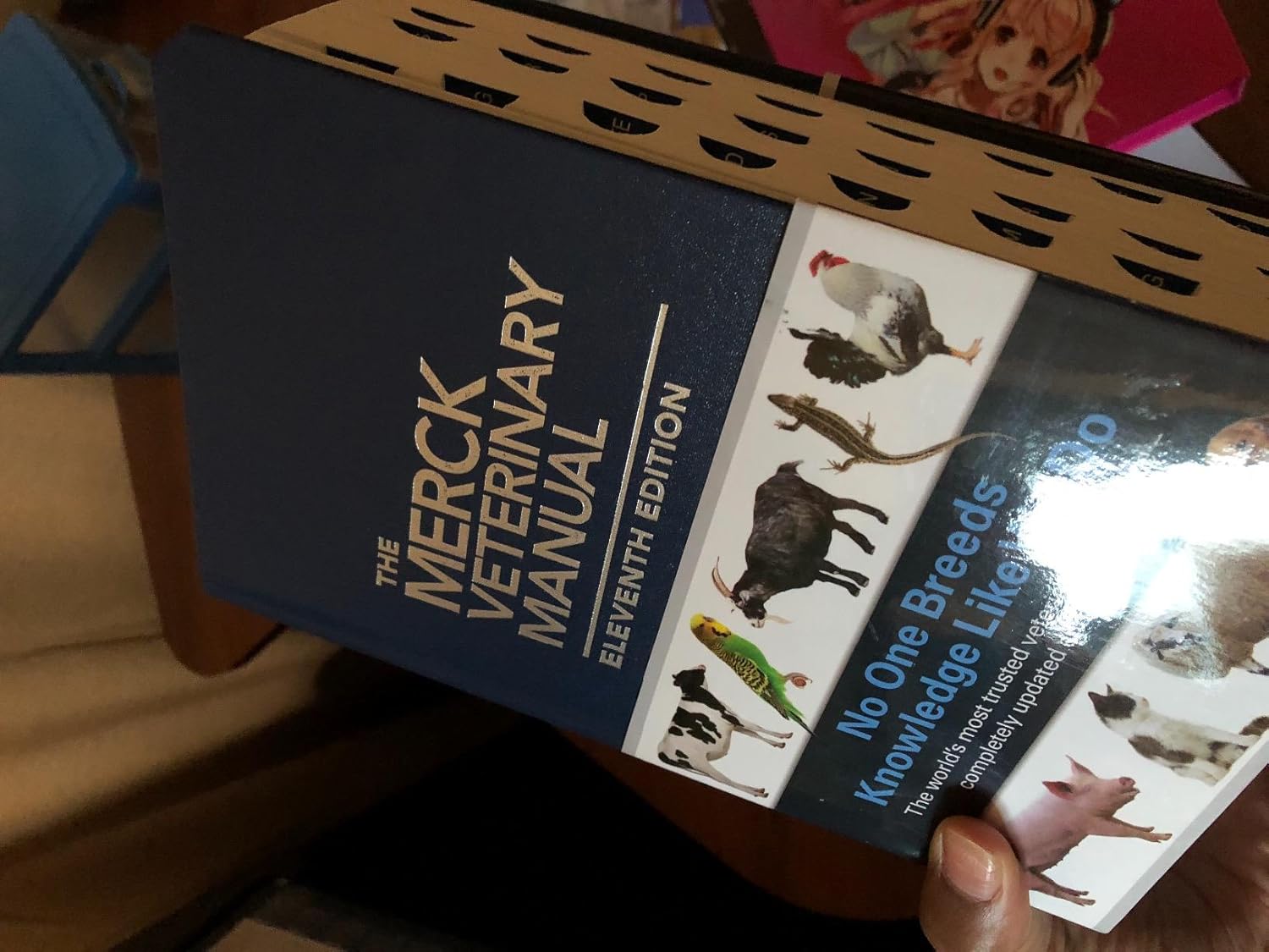 The Merck Veterinary Manual 11th Edition 9780911910612 - Image 4