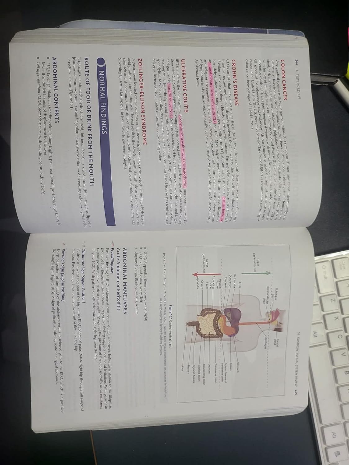 Family Nurse Practitioner Certification Intensive Review, Fourth Edition – Comprehensive Exam Prep with Interactive Digital Prep and Robust Study Tools 4th Edition 9780826163721 - Image 4