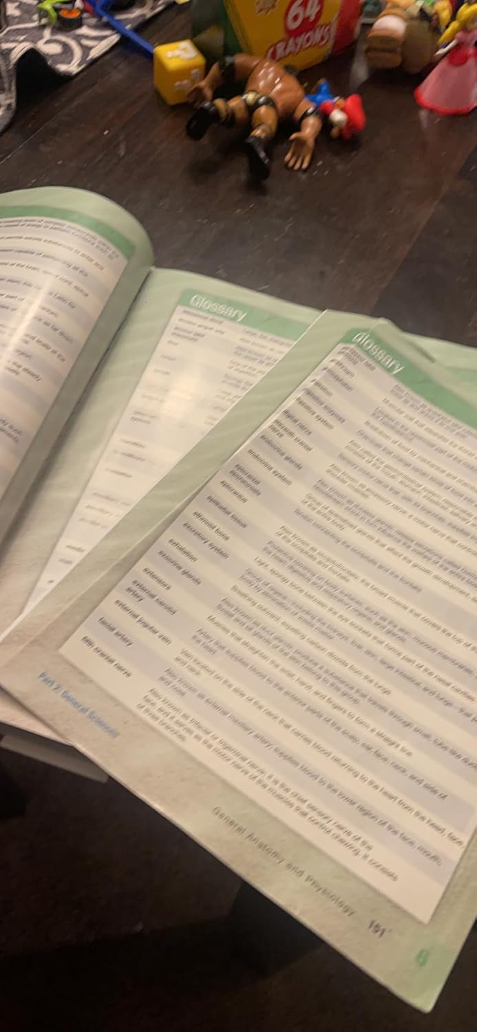 Milady Standard Esthetics: Fundamentals 11th Edition 9781111306892 - Image 4