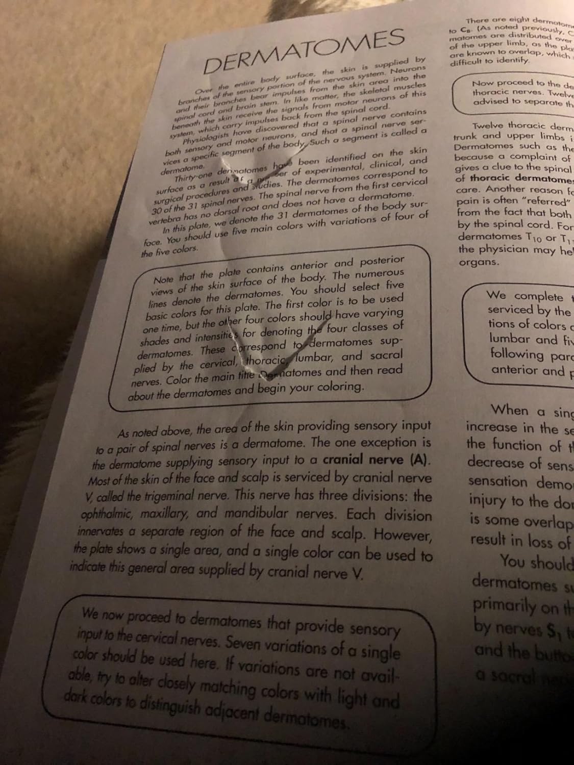 Anatomy Coloring Workbook, 4th Edition: An Easier and Better Way to Learn Anatomy 4th Edition 9780451487872 - Image 9