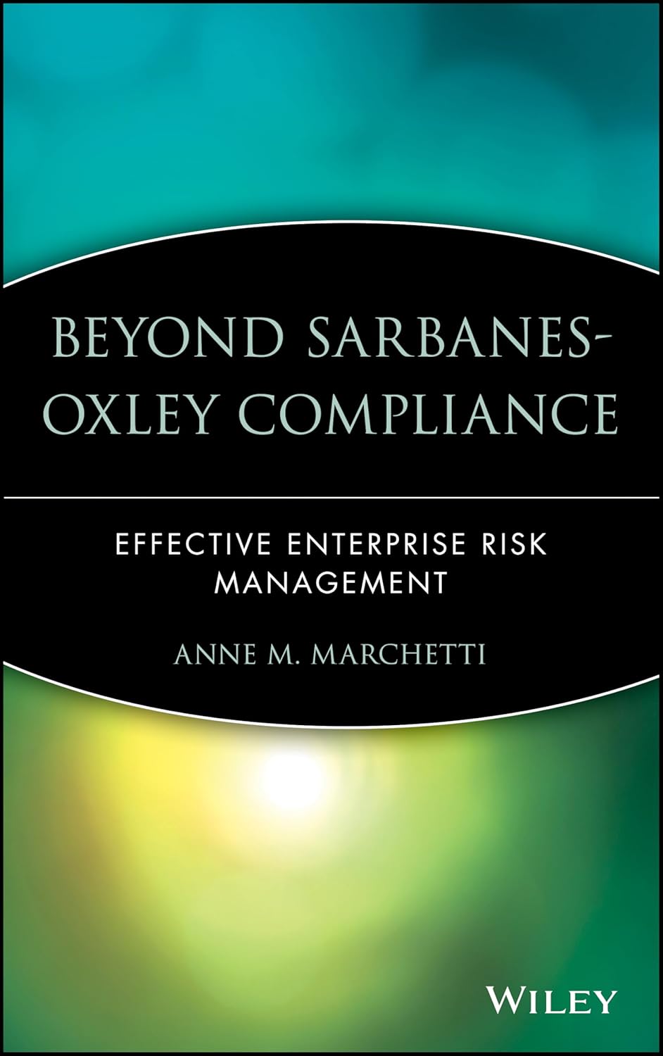 Beyond Sarbanes-Oxley Compliance: Effective Enterprise Risk Management 1st Edition 9780471726265