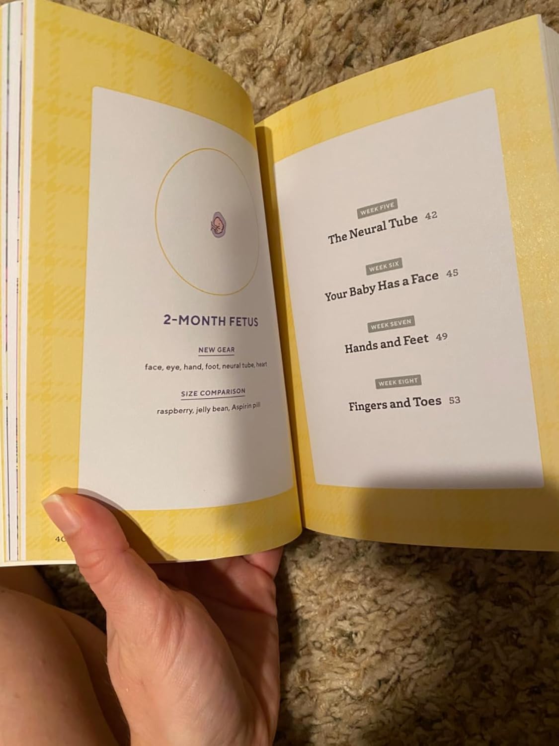 We're Pregnant! The First Time Dad's Pregnancy Handbook Paperback – April 24, 2018 9781939754684 - Image 13