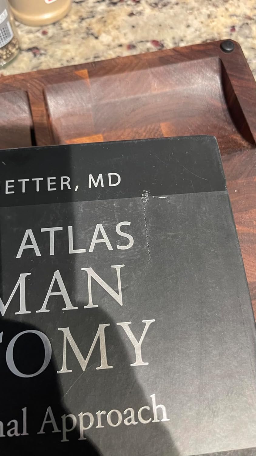 Netter Atlas of Human Anatomy: Classic Regional Approach: paperback + eBook (Netter Basic Science) 8th Edition 9780323680424 - Image 11