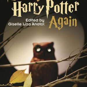Reading Harry Potter Again: New Critical Essays 9780313361975