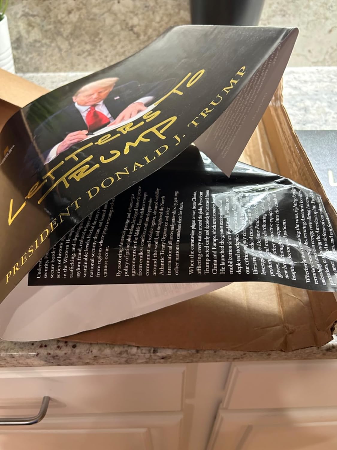 Letters to Trump Hardcover – April 25, 2023 9781735503752 - Image 3