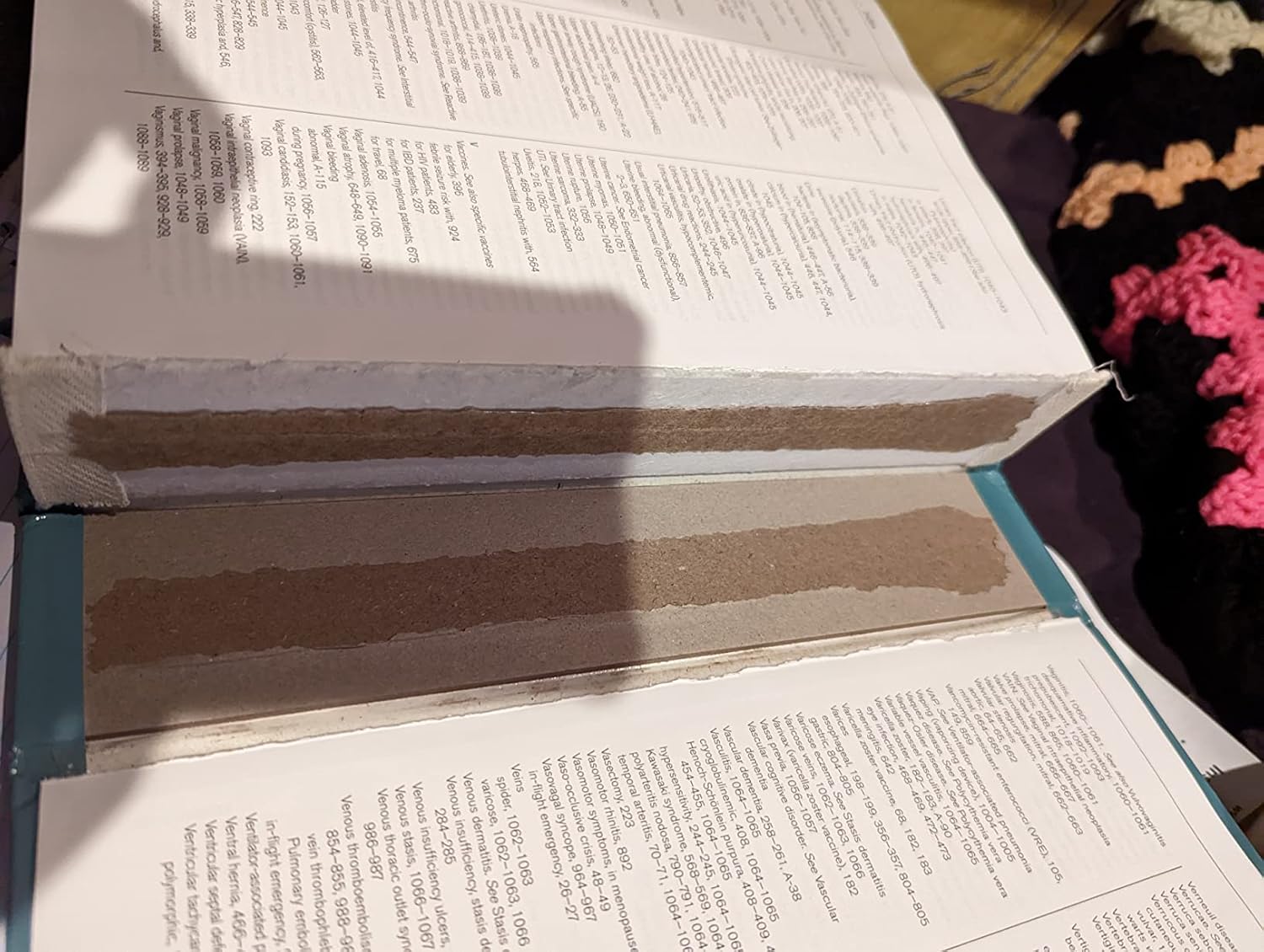 5-Minute Clinical Consult 2023: Print + eBook with Multimedia (The 5-Minute Consult Series) Thirty-First Edition 9781975191559 - Image 11