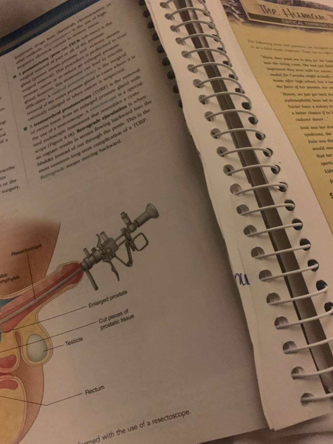 MEDICAL TERMINOLOGY FOR HEALTH PROFESSIONS (8TH EDITION) 8th Edition, ISBN: 9781337119474 - Image 5
