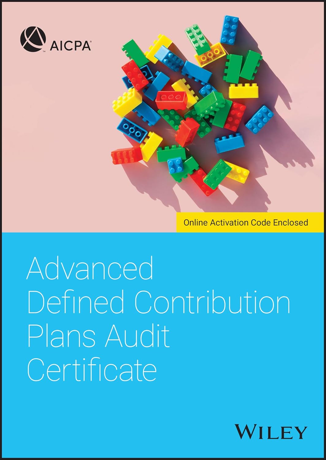Advanced Defined Contribution Plans Audit Certificate 1st Edition 9781119544791