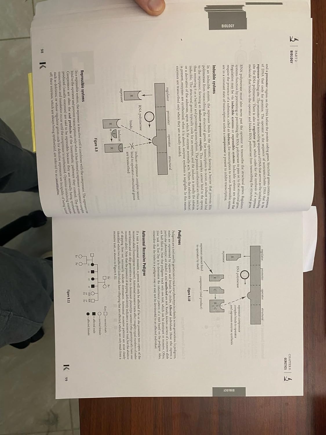 DAT Prep Plus 2023-2024: 2 Practice Tests + Proven Strategies + Online (Kaplan Test Prep) 9781506276823 - Image 8