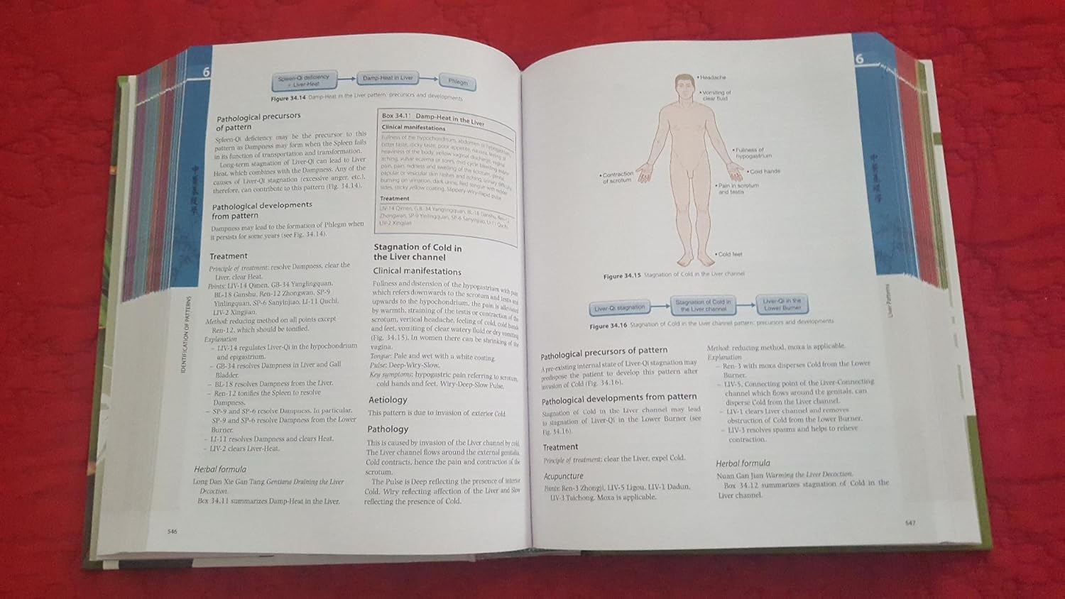 The Foundations of Chinese Medicine: A Comprehensive Text 3rd Edition 9780702052163 - Image 5