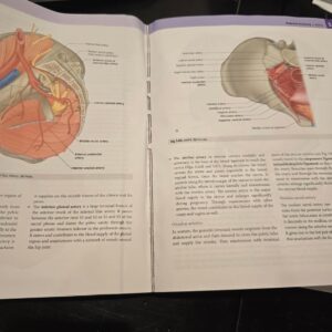 Gray’s Anatomy for Students 5th Edition 9780323934237